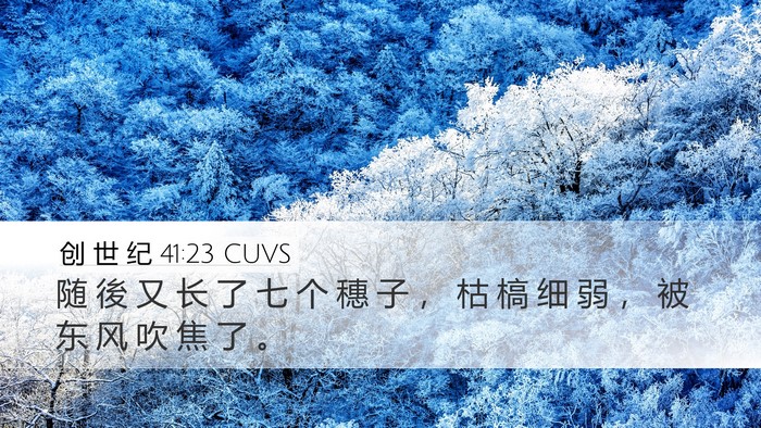 创 世 纪 41:23 CUVS Desktop Wallpaper - 随 後 又 长 了 七 个 穗 子 ， 枯 槁 - Desktop Bible Verse Wallpaper