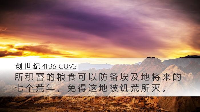 创 世 纪 41:36 CUVS Desktop Wallpaper - 所 积 蓄 的 粮 食 可 以 防 备 埃 及 - Desktop Bible Verse Wallpaper