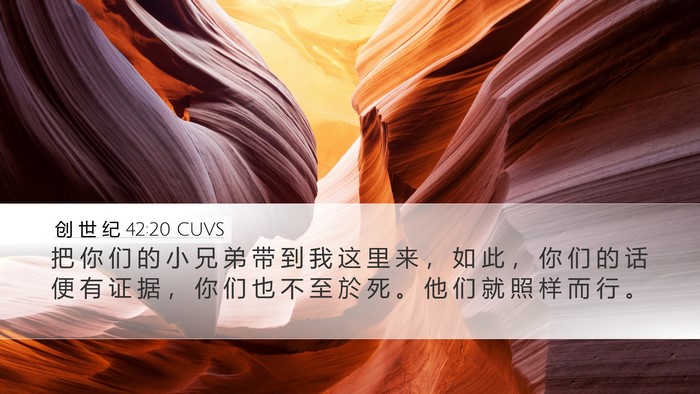 创 世 纪 42:20 CUVS Bible Verse Image