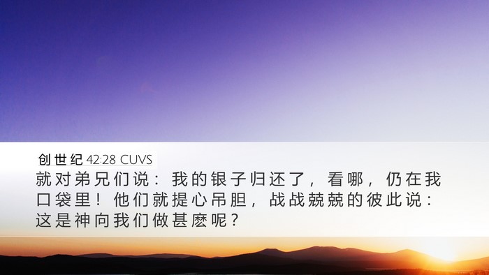 创 世 纪 42:28 CUVS Bible Verse Image