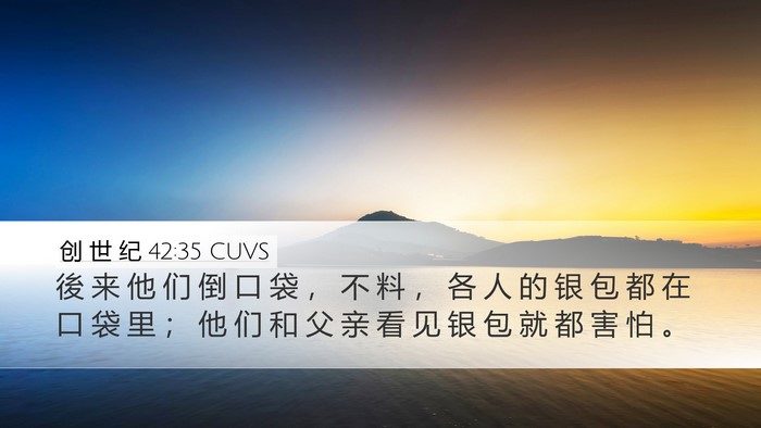 创 世 纪 42:35 CUVS Bible Verse Image