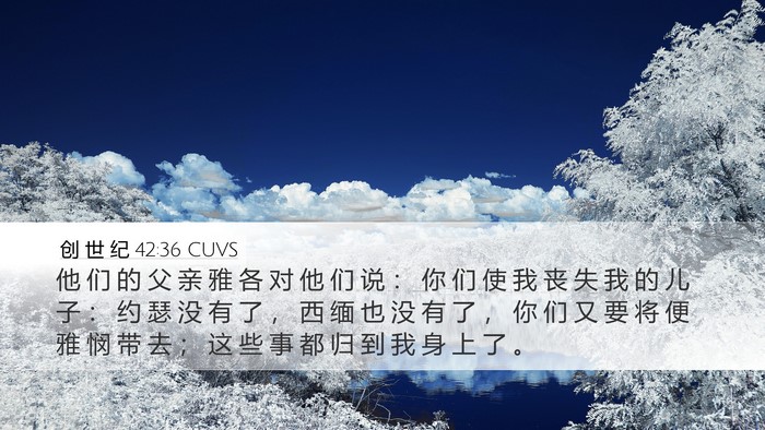 创 世 纪 42:36 CUVS Bible Verse Image