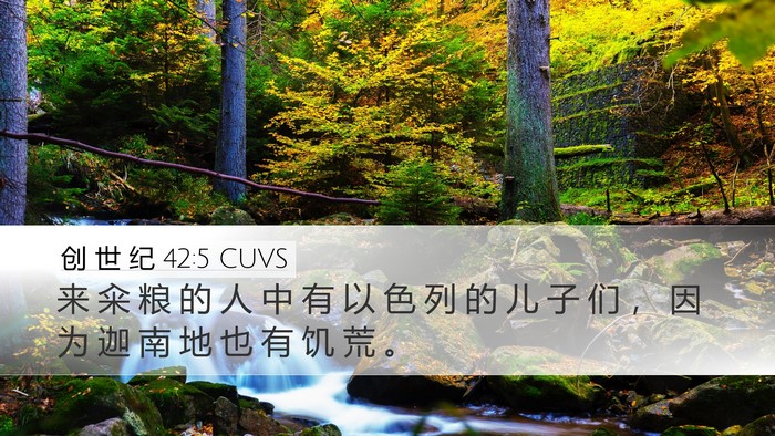创 世 纪 42:5 CUVS Bible Verse Image