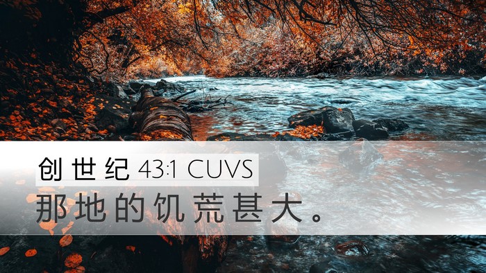 创 世 纪 43:1 CUVS Desktop Wallpaper - 那 地 的 饥 荒 甚 大 - Desktop Bible Verse Wallpaper