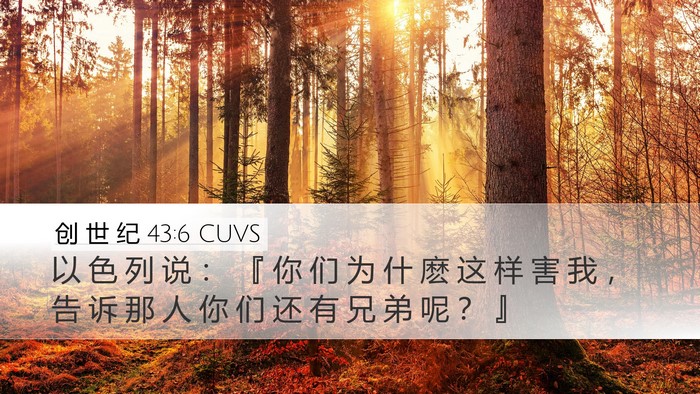 创 世 纪 43:6 CUVS Bible Verse Image