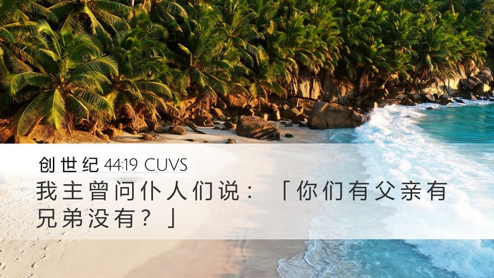 创 世 纪 44:19 CUVS Bible Verse Image