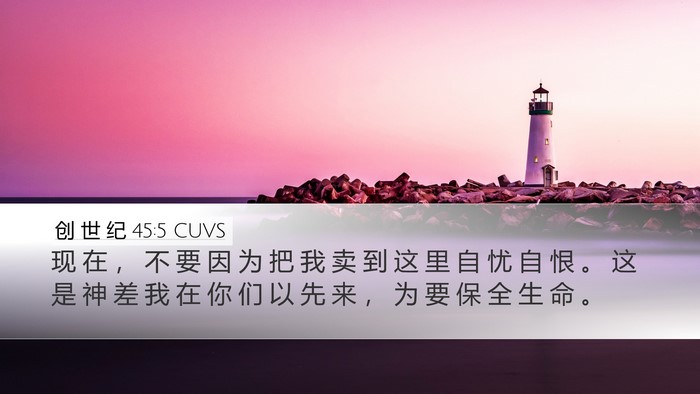 创 世 纪 45:5 CUVS Bible Verse Image