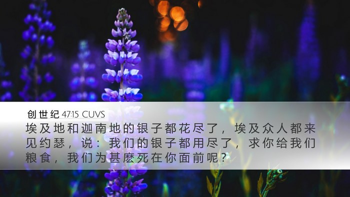 创 世 纪 47:15 CUVS Bible Verse Image