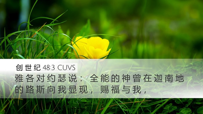 创 世 纪 48:3 CUVS Bible Verse Image