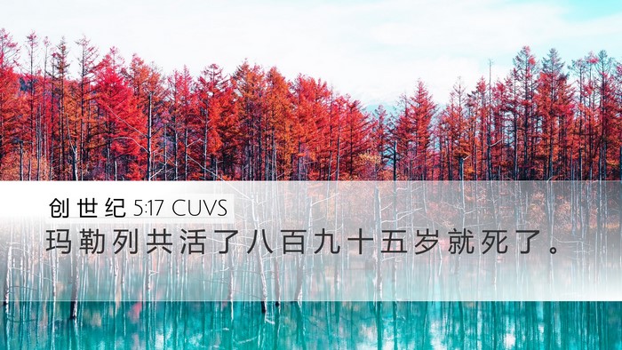 创 世 纪 5:17 CUVS Desktop Wallpaper - 玛 勒 列 共 活 了 八 百 九 十 五 岁 - Desktop Bible Verse Wallpaper