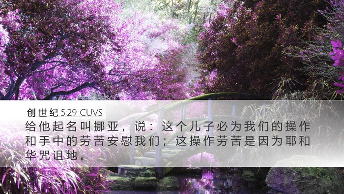 创 世 纪 5:29 CUVS Bible Verse Image