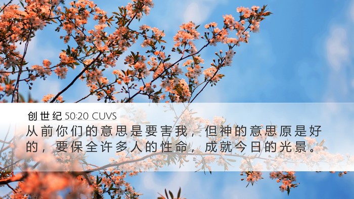 创 世 纪 50:20 CUVS Bible Verse Image