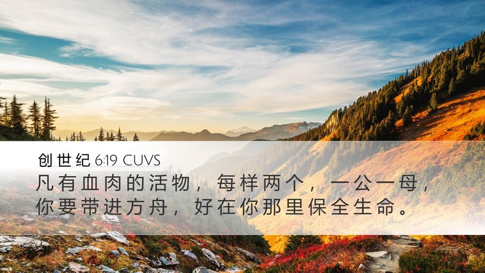 创 世 纪 6:19 CUVS Bible Verse Image