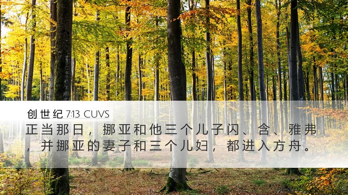 创 世 纪 7:13 CUVS Bible Verse Image