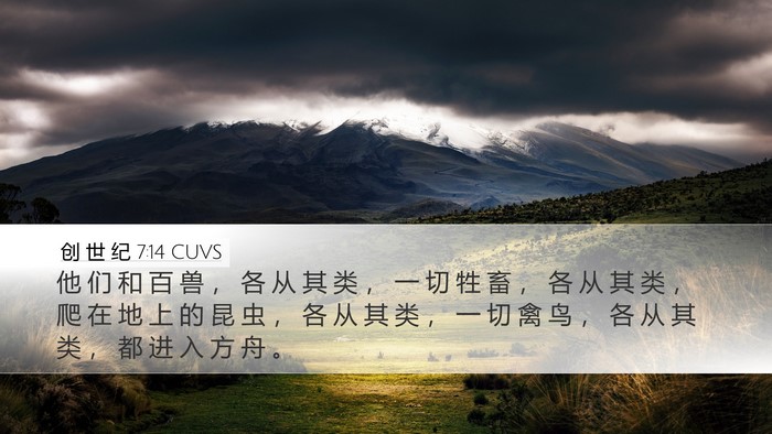 创 世 纪 7:14 CUVS Desktop Wallpaper - 他 们 和 百 兽 ， 各 从 其 类 ， 一 - Desktop Bible Verse Wallpaper