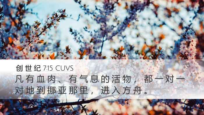 创 世 纪 7:15 CUVS Desktop Wallpaper - 凡 有 血 肉 、 有 气 息 的 活 物 ， - Desktop Bible Verse Wallpaper
