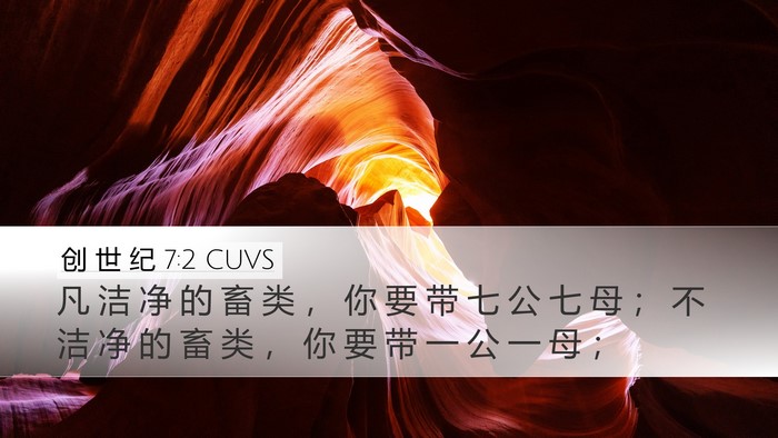 创 世 纪 7:2 CUVS Bible Verse Image