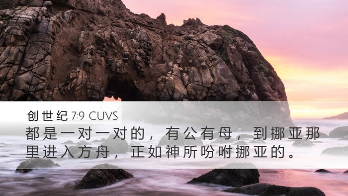 创 世 纪 7:9 CUVS Desktop Wallpaper - 都 是 一 对 一 对 的 ， 有 公 有 母 - Desktop Bible Verse Wallpaper