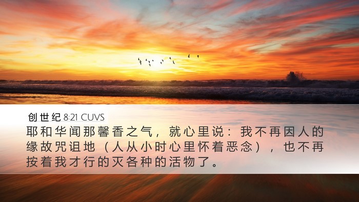 创 世 纪 8:21 CUVS Bible Verse Image