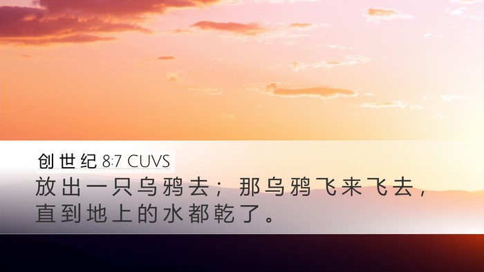 创 世 纪 8:7 CUVS Bible Verse Image