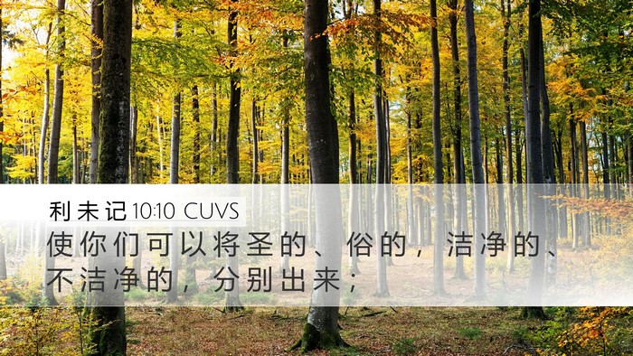 利 未 记 10:10 CUVS Bible Verse Image