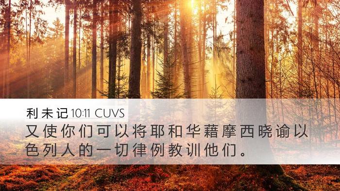 利 未 记 10:11 CUVS Desktop Wallpaper - 又 使 你 们 可 以 将 耶 和 华 藉 摩 - Desktop Bible Verse Wallpaper