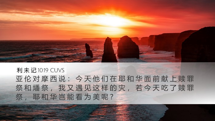 利 未 记 10:19 CUVS Desktop Wallpaper - 亚 伦 对 摩 西 说 ： 今 天 他 们 在 - Desktop Bible Verse Wallpaper