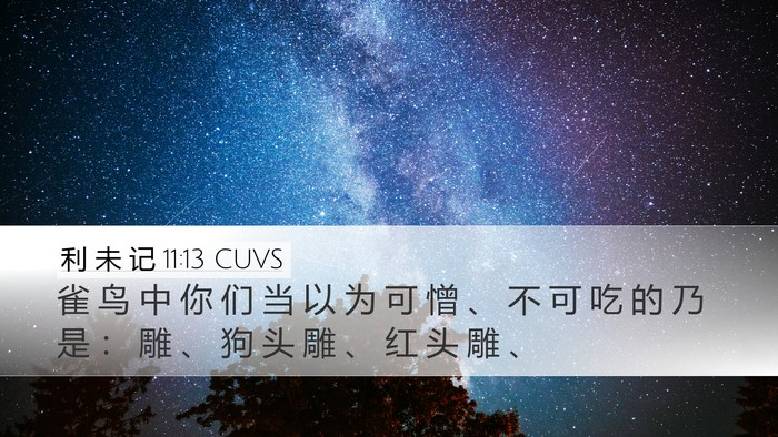 利 未 记 11:13 CUVS Desktop Wallpaper - 雀 鸟 中 你 们 当 以 为 可 憎 、 不 - Desktop Bible Verse Wallpaper