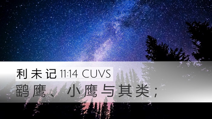 利 未 记 11:14 CUVS Desktop Wallpaper - 鹞 鹰 、 小 鹰 与 其 类 - Desktop Bible Verse Wallpaper