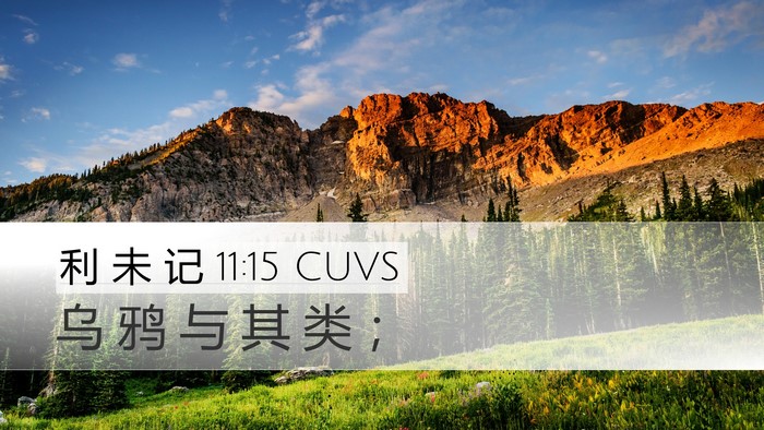 利 未 记 11:15 CUVS Desktop Wallpaper - 乌 鸦 与 其 类 - Desktop Bible Verse Wallpaper