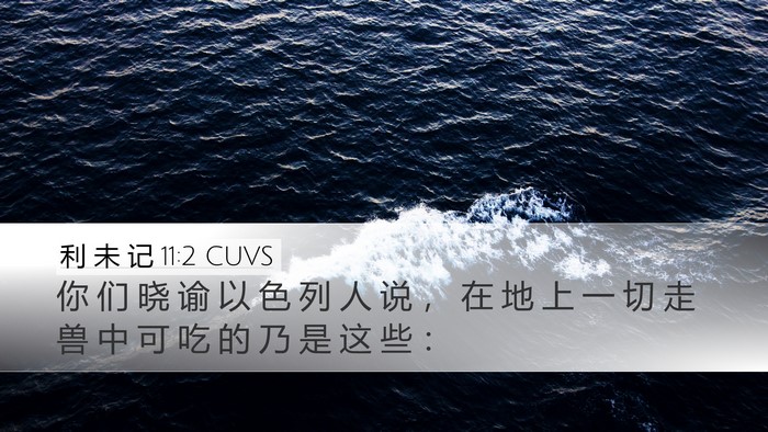 利 未 记 11:2 CUVS Desktop Wallpaper - 你 们 晓 谕 以 色 列 人 说 ， 在 地 - Desktop Bible Verse Wallpaper