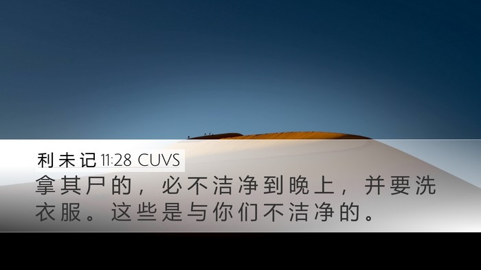 利 未 记 11:28 CUVS Bible Verse Image