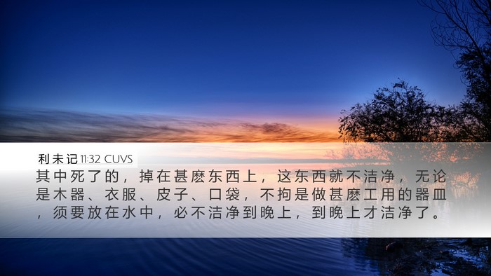 利 未 记 11:32 CUVS Bible Verse Image