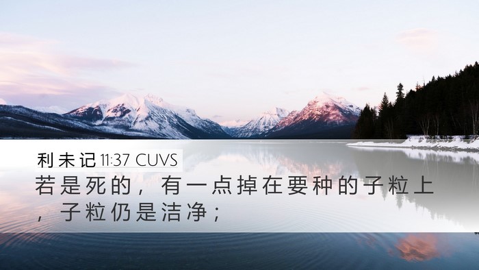 利 未 记 11:37 CUVS Desktop Wallpaper - 若 是 死 的 ， 有 一 点 掉 在 要 种 - Desktop Bible Verse Wallpaper