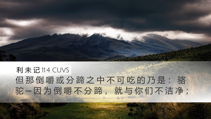 利 未 记 11:4 CUVS Desktop Wallpaper - 但 那 倒 嚼 或 分 蹄 之 中 不 可 吃 - Desktop Bible Verse Wallpaper