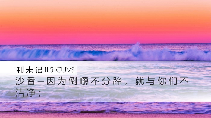 利 未 记 11:5 CUVS Bible Verse Image