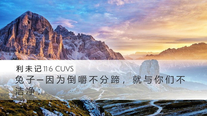 利 未 记 11:6 CUVS Desktop Wallpaper - 兔 子 ─ 因 为 倒 嚼 不 分 蹄 ， 就 - Desktop Bible Verse Wallpaper