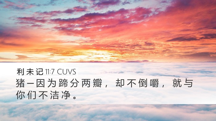 利 未 记 11:7 CUVS Bible Verse Image
