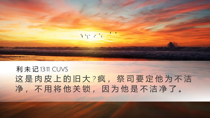 利 未 记 13:11 CUVS Desktop Wallpaper - 这 是 肉 皮 上 的 旧 大 ? 疯 ， 祭 司 - Desktop Bible Verse Wallpaper