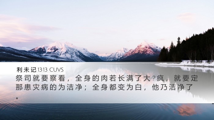利 未 记 13:13 CUVS Desktop Wallpaper - 祭 司 就 要 察 看 ， 全 身 的 肉 若 - Desktop Bible Verse Wallpaper