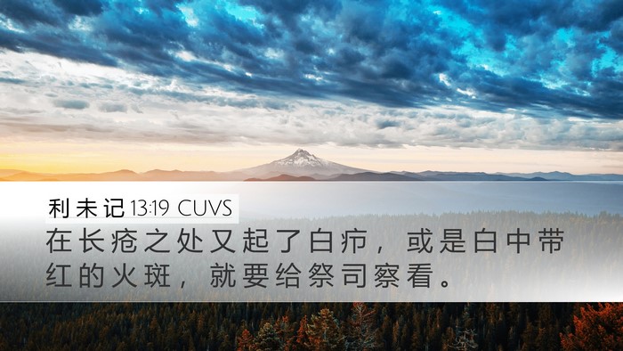 利 未 记 13:19 CUVS Desktop Wallpaper - 在 长 疮 之 处 又 起 了 白 疖 ， 或 - Desktop Bible Verse Wallpaper