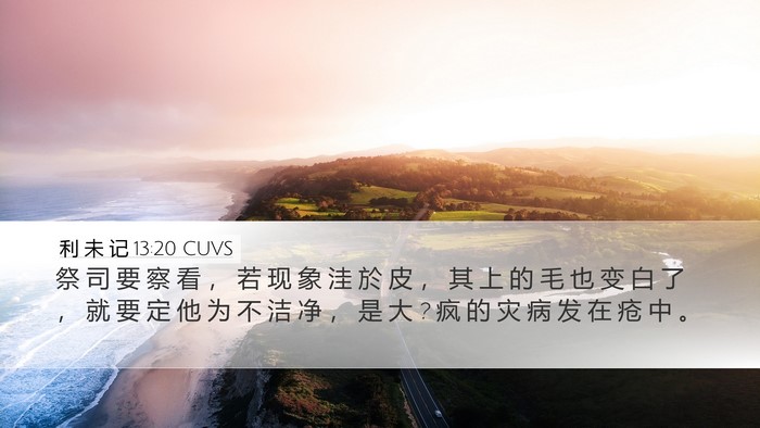 利 未 记 13:20 CUVS Desktop Wallpaper - 祭 司 要 察 看 ， 若 现 象 洼 於 皮 - Desktop Bible Verse Wallpaper