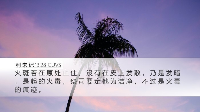 利 未 记 13:28 CUVS Desktop Wallpaper - 火 斑 若 在 原 处 止 住 ， 没 有 在 - Desktop Bible Verse Wallpaper