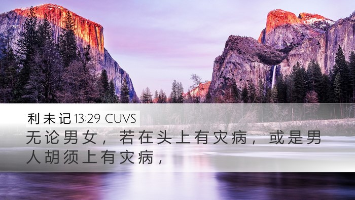 利 未 记 13:29 CUVS Bible Verse Image