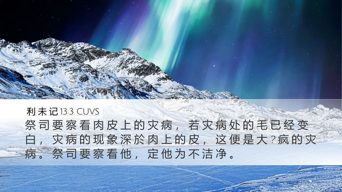 利 未 记 13:3 CUVS Desktop Wallpaper - 祭 司 要 察 看 肉 皮 上 的 灾 病 ， - Desktop Bible Verse Wallpaper
