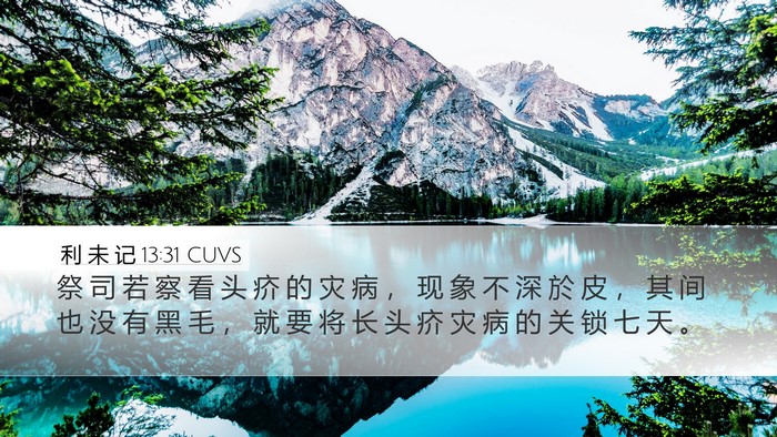 利 未 记 13:31 CUVS Desktop Wallpaper - 祭 司 若 察 看 头 疥 的 灾 病 ， 现 - Desktop Bible Verse Wallpaper