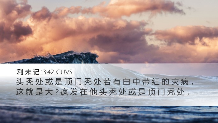 利 未 记 13:42 CUVS Desktop Wallpaper - 头 秃 处 或 是 顶 门 秃 处 若 有 白 - Desktop Bible Verse Wallpaper