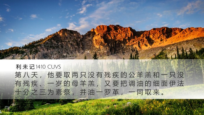 利 未 记 14:10 CUVS Bible Verse Image