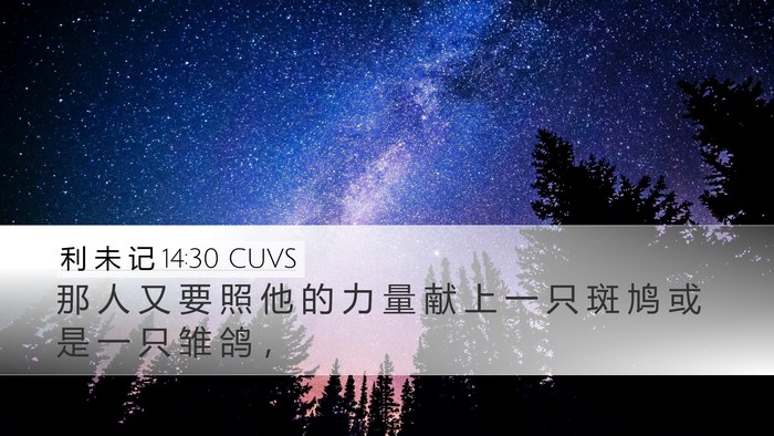 利 未 记 14:30 CUVS Bible Verse Image