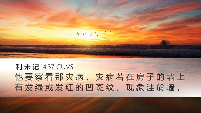 利 未 记 14:37 CUVS Desktop Wallpaper - 他 要 察 看 那 灾 病 ， 灾 病 若 在 - Desktop Bible Verse Wallpaper